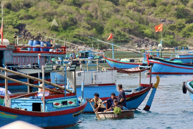‘Mắt biển’ ở vịnh Nha Trang có gì đặc biệt mà du khách thích mê? - Ảnh 10.