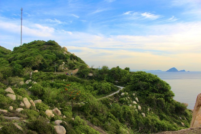 ‘Mắt biển’ ở vịnh Nha Trang có gì đặc biệt mà du khách thích mê? - Ảnh 8.