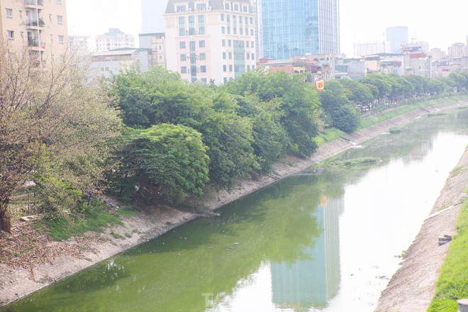 Nước sông Tô Lịch bỗng chuyển sang màu xanh lục - Ảnh 1.