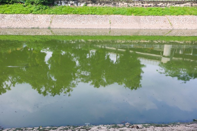Nước sông Tô Lịch bỗng chuyển sang màu xanh lục - Ảnh 6.