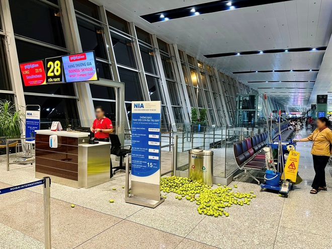 Xôn xao hình ảnh cả đống xoài, cóc bị hành khách bỏ lại, nằm lăn lóc trên sàn nhà ga sân bay Nội Bài - Ảnh 2.