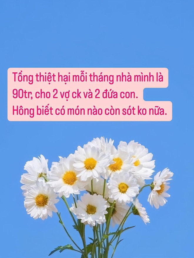 Chi phí của mẹ 2 con ở Hà Nội khiến chị em bàn luận rôm rả: Tiêu 90 triệu/tháng mà vẫn phải ở nhà thuê? - Ảnh 2.