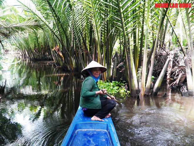 Loại trái từng bỏ đi, giờ đem về tiền triệu cho người miền Tây - Ảnh 1.