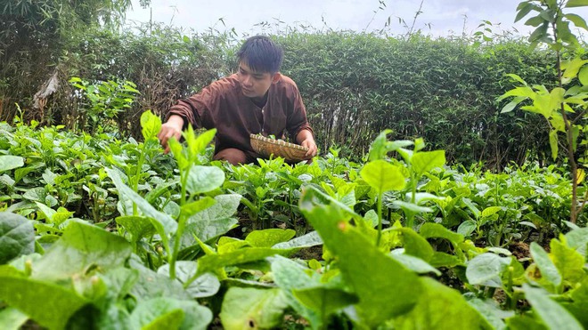 Ở thành phố thèm cơm nhà mẹ nấu, các thanh niên dọn về quê: Sáng làm vườn, chiều vào bếp “nổi lửa”- Ảnh 13.