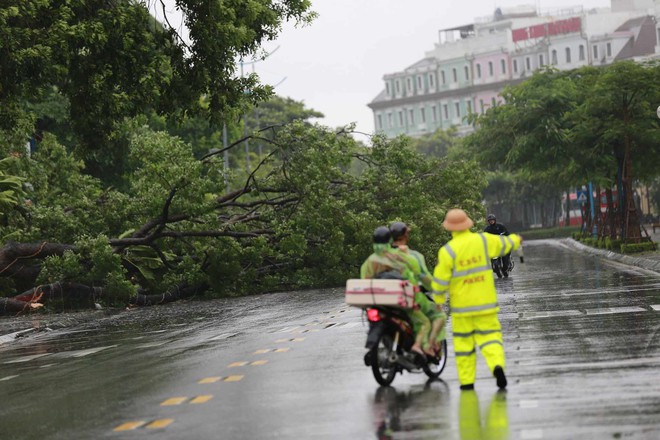 Trực tiếp bão số 2 đổ bộ: Quảng Ninh mưa rất to, cây gãy đổ hàng loạt- Ảnh 6.