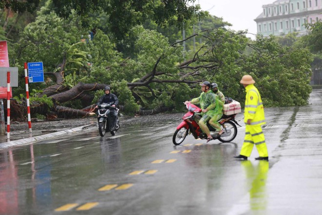 Trực tiếp bão số 2 đổ bộ: Quảng Ninh mưa rất to, cây gãy đổ hàng loạt- Ảnh 4.