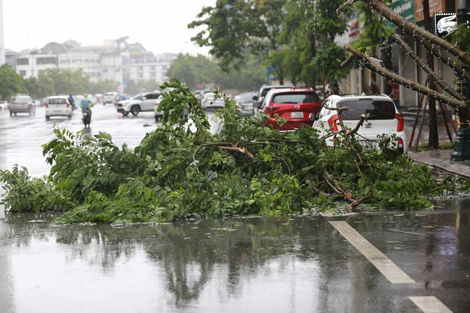 Trực tiếp bão số 2 đổ bộ: Quảng Ninh mưa rất to, cây gãy đổ hàng loạt- Ảnh 11.