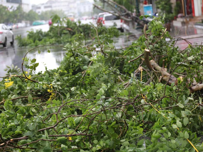 Những thiệt hại ban đầu khi bão số 2 đổ bộ Quảng Ninh- Ảnh 24.