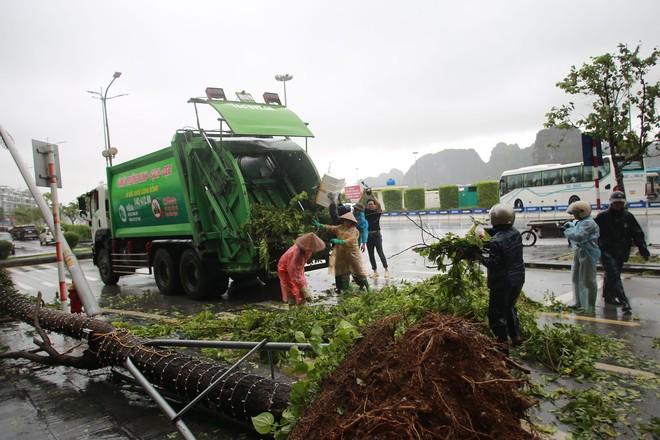 Những thiệt hại ban đầu khi bão số 2 đổ bộ Quảng Ninh- Ảnh 11.