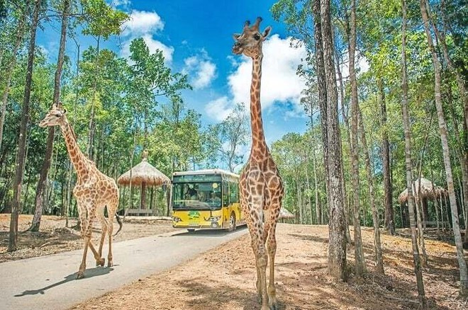 Những sở thú được yêu thích nhất tại Việt Nam - Ảnh 7.