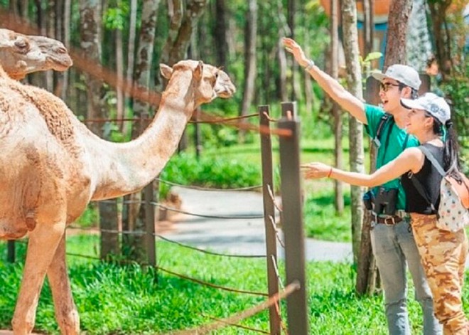Những sở thú được yêu thích nhất tại Việt Nam - Ảnh 3.