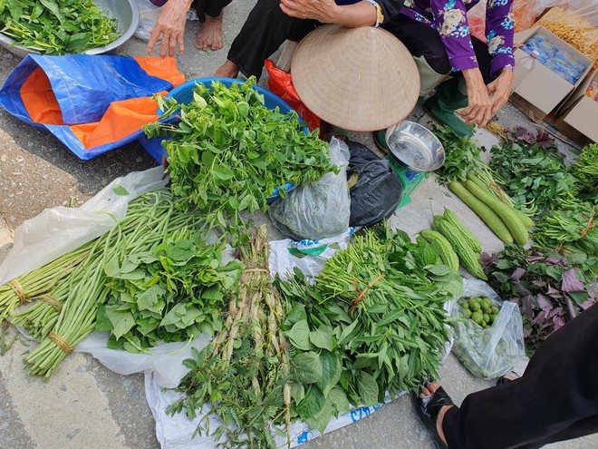 Mẹ 3 con kể chuyện chi tiêu ở ngoại thành Hà Nội: Nhiều thực phẩm giá cao không kém nội thành, biết cách mua và tự trồng rau, nuôi gà thì mới tiết kiệm! - Ảnh 2.