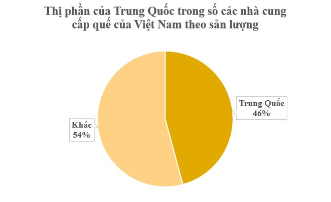 Loại cây lâu đời nhất thế giới từ Trung Quốc mang sang giúp Việt Nam trở thành ‘ông hoàng’ toàn cầu: Chỉ có rất ít quốc gia sở hữu, thu gần trăm triệu USD từ đầu năm - Ảnh 2.