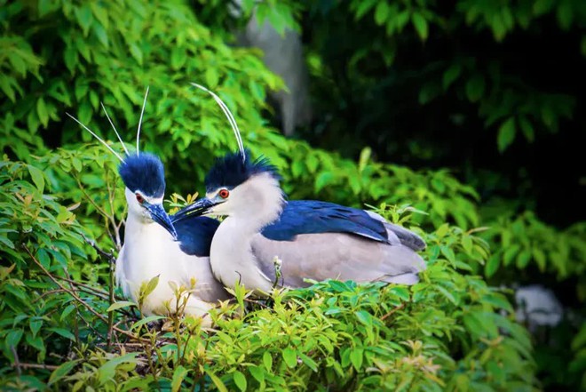 Rời bỏ thành phố lớn, gia đình 3 người về quê xây dựng thiên đường sinh thái biệt lập - Ảnh 5.