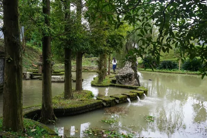 Rời bỏ thành phố lớn, gia đình 3 người về quê xây dựng thiên đường sinh thái biệt lập - Ảnh 18.