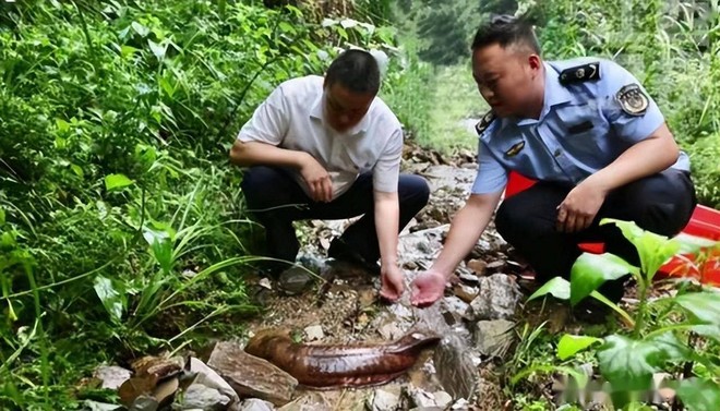 Tình cờ bắt được cá lạ có móng vuốt, người đàn ông vội báo cảnh sát: Quyết định đúng đắn nhất trong đời - Ảnh 2.