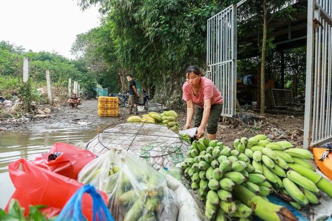 Bãi giữa sông Hồng ngập sâu, người dân đi chợ bằng thuyền- Ảnh 13.