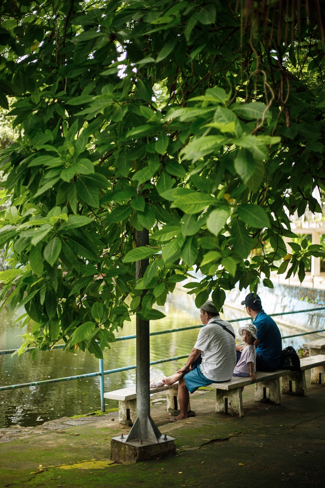 Thảo Cầm Viên: Từ “kho báu” ký ức của người Sài Gòn, đìu hiu trong dịch Covid-19 đến sự "hồi sinh" mạnh mẽ và đáng yêu của bầy thú- Ảnh 6.