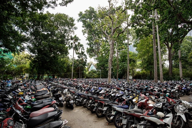 Thảo Cầm Viên: Từ “kho báu” ký ức của người Sài Gòn, đìu hiu trong dịch Covid-19 đến sự "hồi sinh" mạnh mẽ và đáng yêu của bầy thú- Ảnh 7.