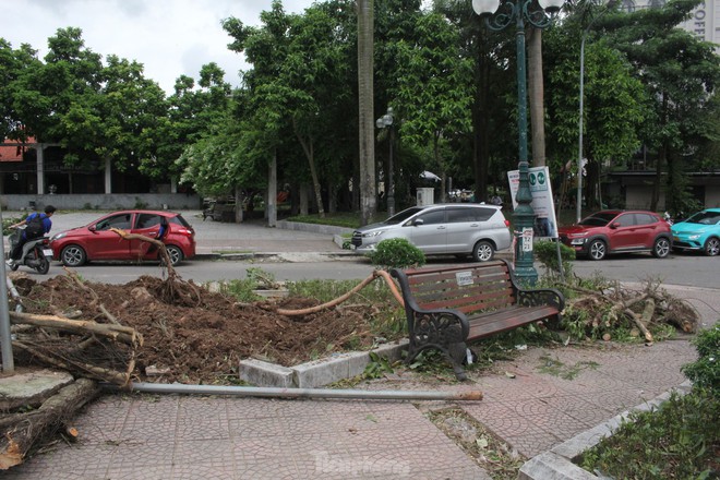 Ngựa 'chạy' tán loạn, biểu tượng tình yêu vụn vỡ do bão số 3- Ảnh 8.