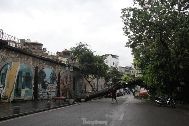 Ngựa 'chạy' tán loạn, biểu tượng tình yêu vụn vỡ do bão số 3- Ảnh 12.