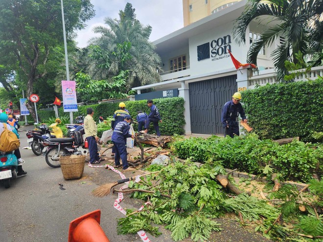 TP.HCM: Cắt tỉa hàng loạt cây xanh sau sự cố nhánh cây rơi xuống đường khiến 1 người tử vong - Ảnh 6.