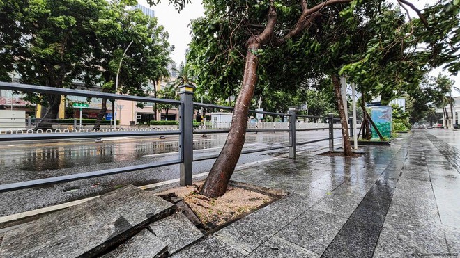 Những hình ảnh không tưởng khi siêu bão Yagi quần thảo Trung Quốc: Người bị thổi bay, toàn bộ cửa kính "xé toạc" trong chớp mắt- Ảnh 3.