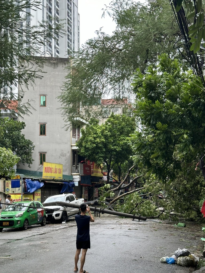 Toàn cảnh Hà Nội ngay trước khi bão YAGI đổ bộ: Hàng loạt cây xanh bật gốc chắn ngang đường, nhiều bảng biển bị hất tung- Ảnh 4.