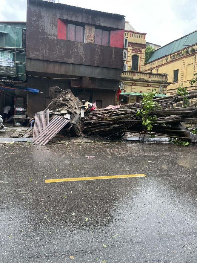 Toàn cảnh Hà Nội ngay trước khi bão YAGI đổ bộ: Hàng loạt cây xanh bật gốc chắn ngang đường, nhiều bảng biển bị hất tung- Ảnh 5.