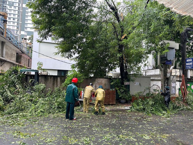 Toàn cảnh Hà Nội ngay trước khi bão YAGI đổ bộ: Hàng loạt cây xanh bật gốc chắn ngang đường, nhiều bảng biển bị hất tung- Ảnh 13.