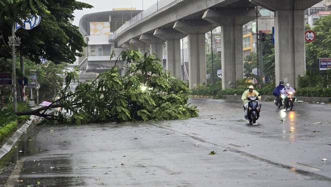 Người dân Hà Nội bàng hoàng trước khung cảnh buổi sáng của Thủ đô sau đêm bão Yagi quần thảo- Ảnh 3.