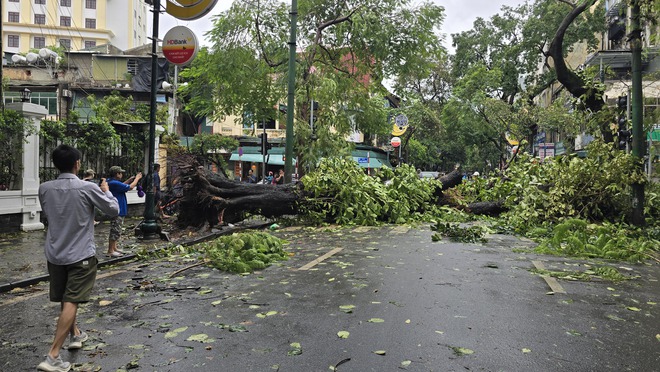 Người dân Hà Nội bàng hoàng trước khung cảnh buổi sáng của Thủ đô sau đêm bão Yagi quần thảo- Ảnh 32.