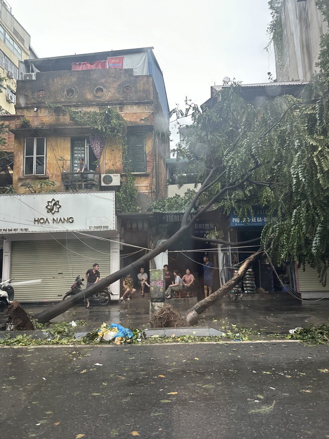 Người dân Hà Nội bàng hoàng trước khung cảnh buổi sáng của Thủ đô sau đêm bão Yagi quần thảo- Ảnh 21.