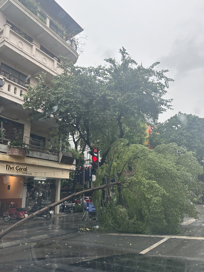 Người dân Hà Nội bàng hoàng trước khung cảnh buổi sáng của Thủ đô sau đêm bão Yagi quần thảo- Ảnh 20.