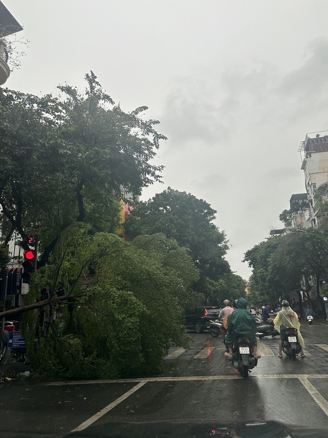 Người dân Hà Nội bàng hoàng trước khung cảnh buổi sáng của Thủ đô sau đêm bão Yagi quần thảo- Ảnh 19.