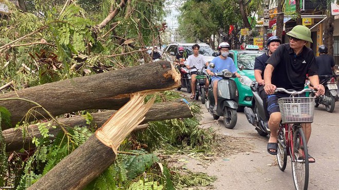 Hải Phòng khôi phục hoạt động biển sau bão Yagi- Ảnh 2.