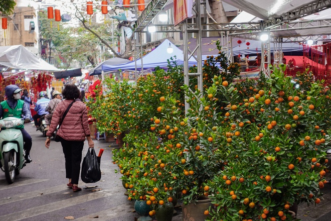 Lạc lối ở các "siêu chợ" Hà Nội dịp Tết: Áo dài phủ sóng khắp nơi, khách Tây hào hứng cùng Tết Việt- Ảnh 15.