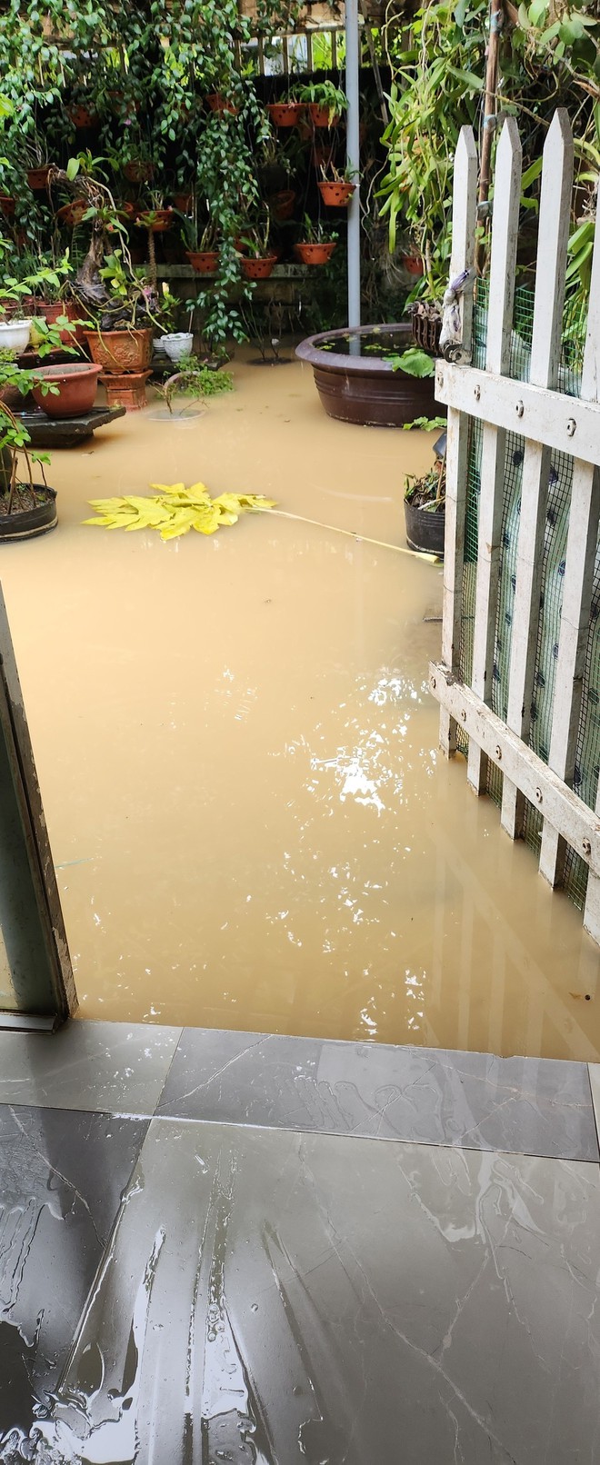 Cận cảnh ngôi nhà ca sĩ Ánh Tuyết ở Đà Nẵng ngập nặng- Ảnh 3. Cận cảnh ngôi nhà ca sĩ Ánh Tuyết ở Đà Nẵng ngập nặng- Ảnh 3.