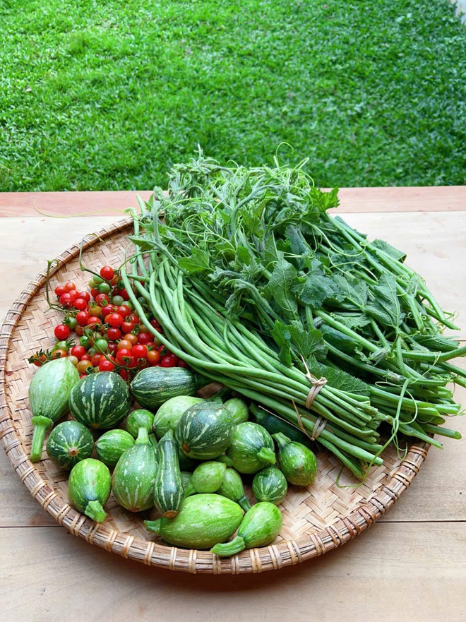 Cặp vợ chồng chi 3 tỷ xây nhà như cổ tích trên vùng núi Tuyên Quang: View triệu đô, 0 đồng rau củ- Ảnh 11. Cặp vợ chồng chi 3 tỷ xây nhà như cổ tích trên vùng núi Tuyên Quang: View triệu đô, 0 đồng rau củ- Ảnh 11.