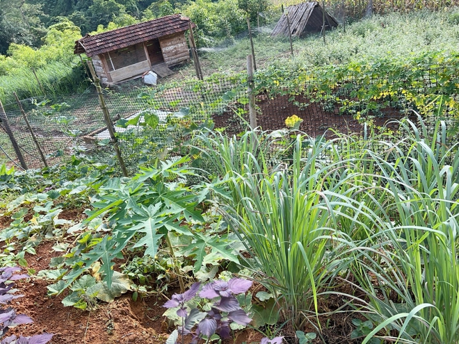 Cặp vợ chồng chi 3 tỷ xây nhà như cổ tích trên vùng núi Tuyên Quang: View triệu đô, 0 đồng rau củ- Ảnh 16. Cặp vợ chồng chi 3 tỷ xây nhà như cổ tích trên vùng núi Tuyên Quang: View triệu đô, 0 đồng rau củ- Ảnh 16.