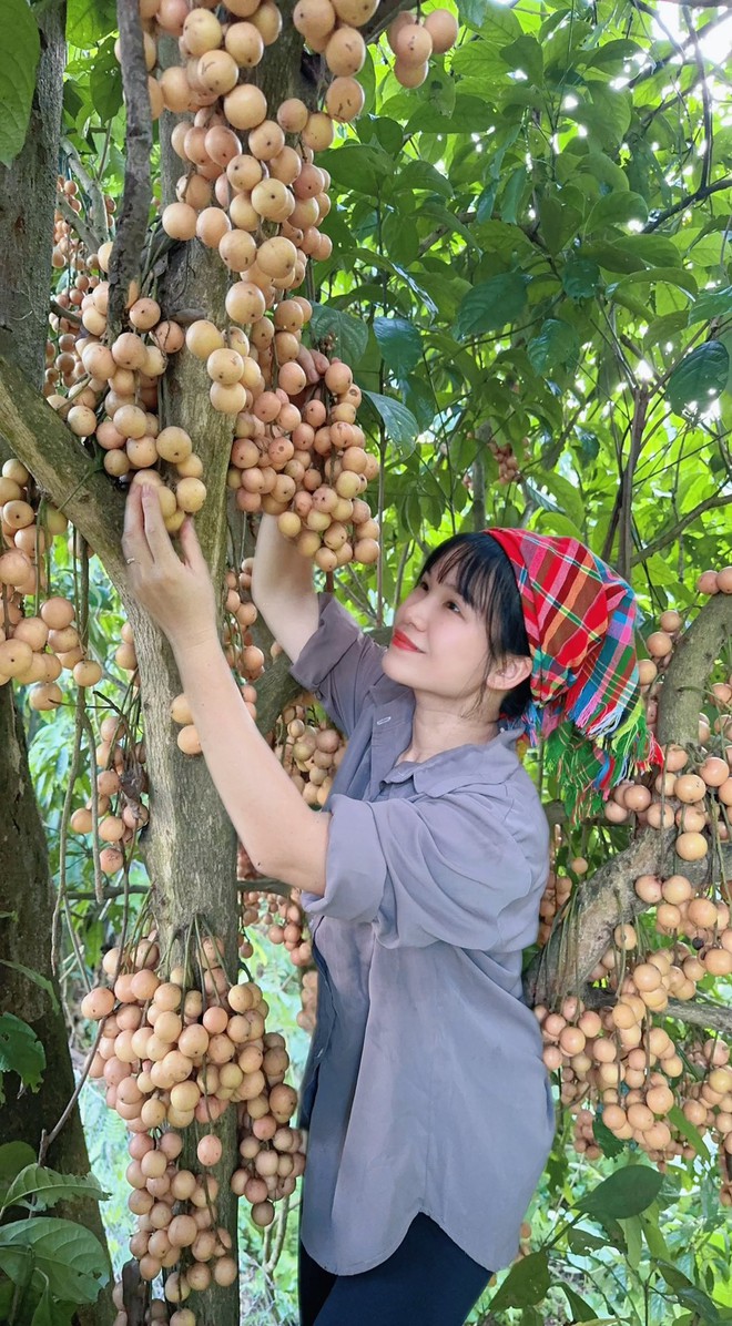 Cặp vợ chồng chi 3 tỷ xây nhà như cổ tích trên vùng núi Tuyên Quang: View triệu đô, 0 đồng rau củ- Ảnh 8. Cặp vợ chồng chi 3 tỷ xây nhà như cổ tích trên vùng núi Tuyên Quang: View triệu đô, 0 đồng rau củ- Ảnh 8.