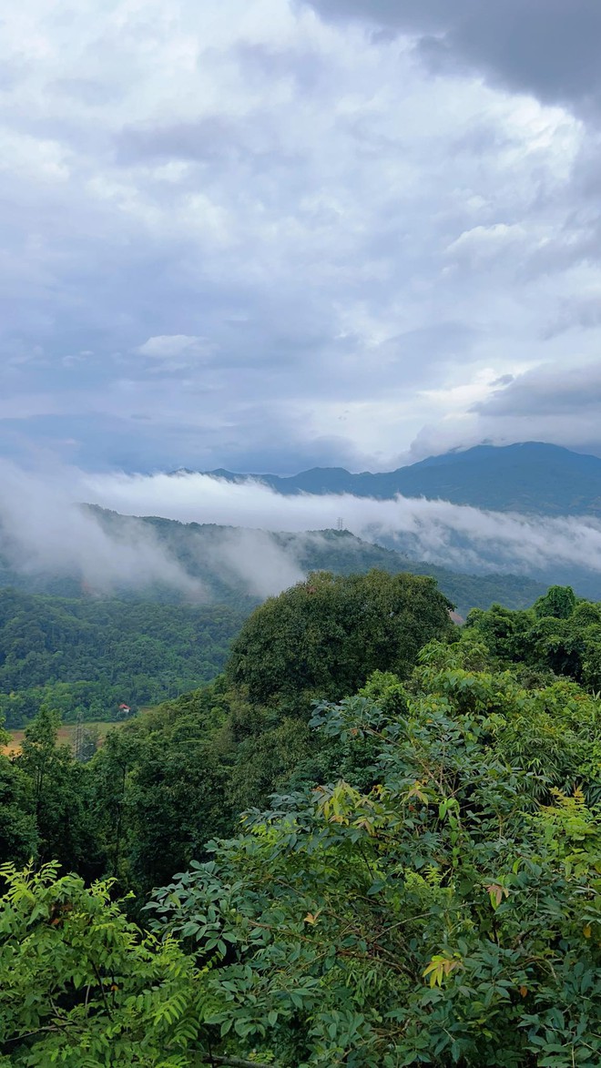 Cặp vợ chồng chi 3 tỷ xây nhà như cổ tích trên vùng núi Tuyên Quang: View triệu đô, 0 đồng rau củ- Ảnh 21. Cặp vợ chồng chi 3 tỷ xây nhà như cổ tích trên vùng núi Tuyên Quang: View triệu đô, 0 đồng rau củ- Ảnh 21.