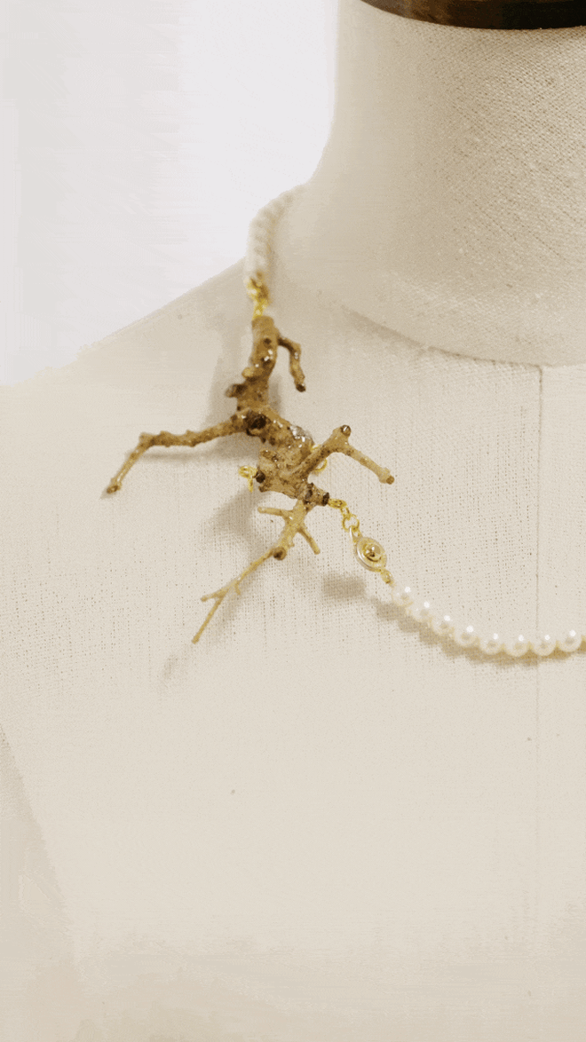 Người phụ nữ U50 bỏ việc lương cao về "chơi cây" với bố ung thư: Biến nghề bonsai ít ai biết thành sứ mệnh đời mình- Ảnh 16.