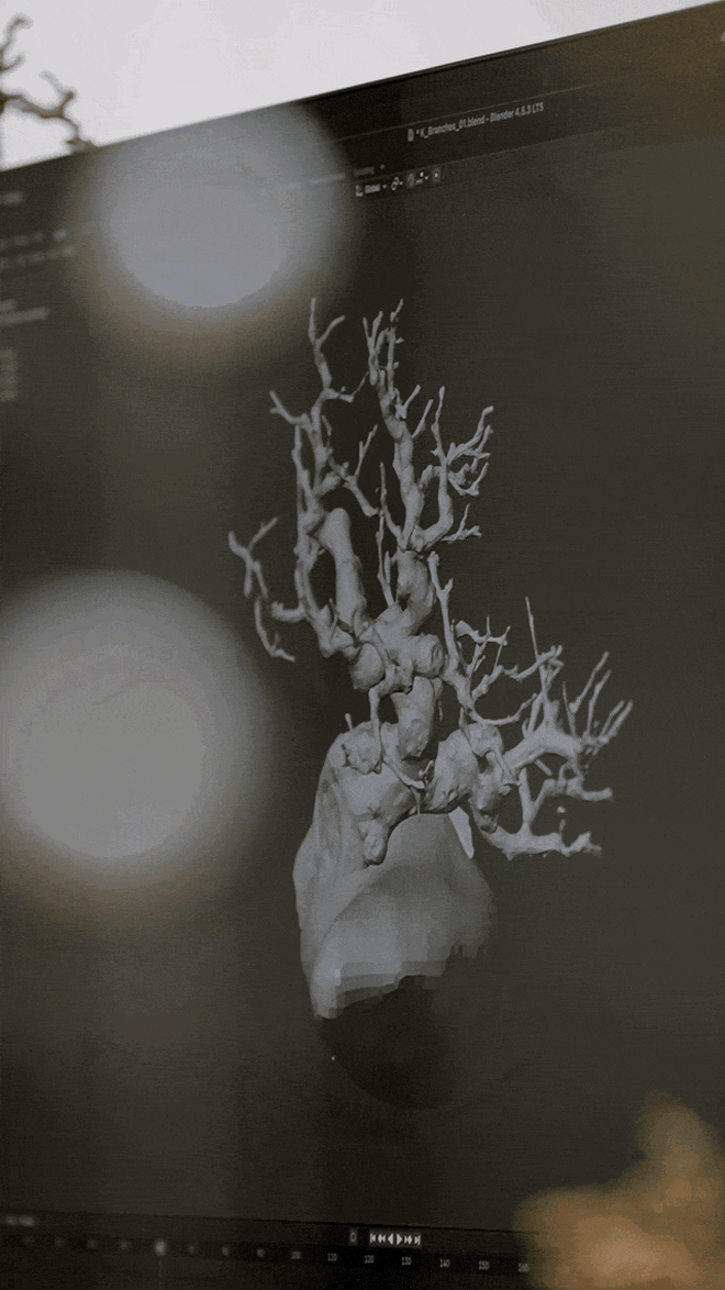 Người phụ nữ U50 bỏ việc lương cao về "chơi cây" với bố ung thư: Biến nghề bonsai ít ai biết thành sứ mệnh đời mình- Ảnh 17.