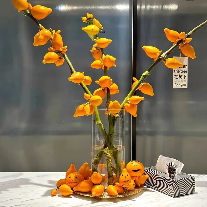 "Cây tài lộc" ít người biết: Quả vàng óng 5 múi, chưng Tết 2026 mang ý nghĩa "ngũ phúc lâm môn", tiền vào như nước- Ảnh 22. "Cây tài lộc" ít người biết: Quả vàng óng 5 múi, chưng Tết 2026 mang ý nghĩa "ngũ phúc lâm môn", tiền vào như nước- Ảnh 22.