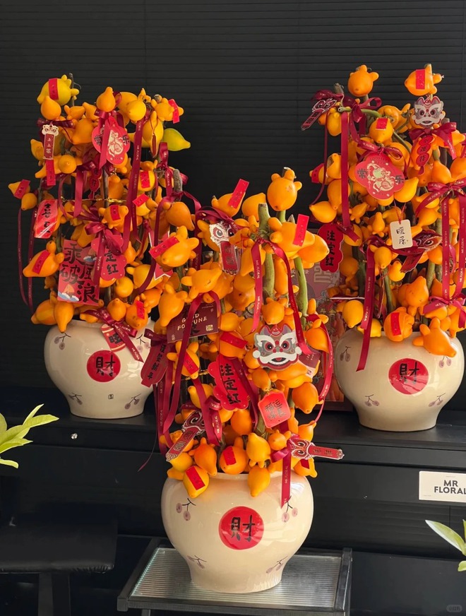 "Cây tài lộc" ít người biết: Quả vàng óng 5 múi, chưng Tết 2026 mang ý nghĩa "ngũ phúc lâm môn", tiền vào như nước- Ảnh 3. "Cây tài lộc" ít người biết: Quả vàng óng 5 múi, chưng Tết 2026 mang ý nghĩa "ngũ phúc lâm môn", tiền vào như nước- Ảnh 3.