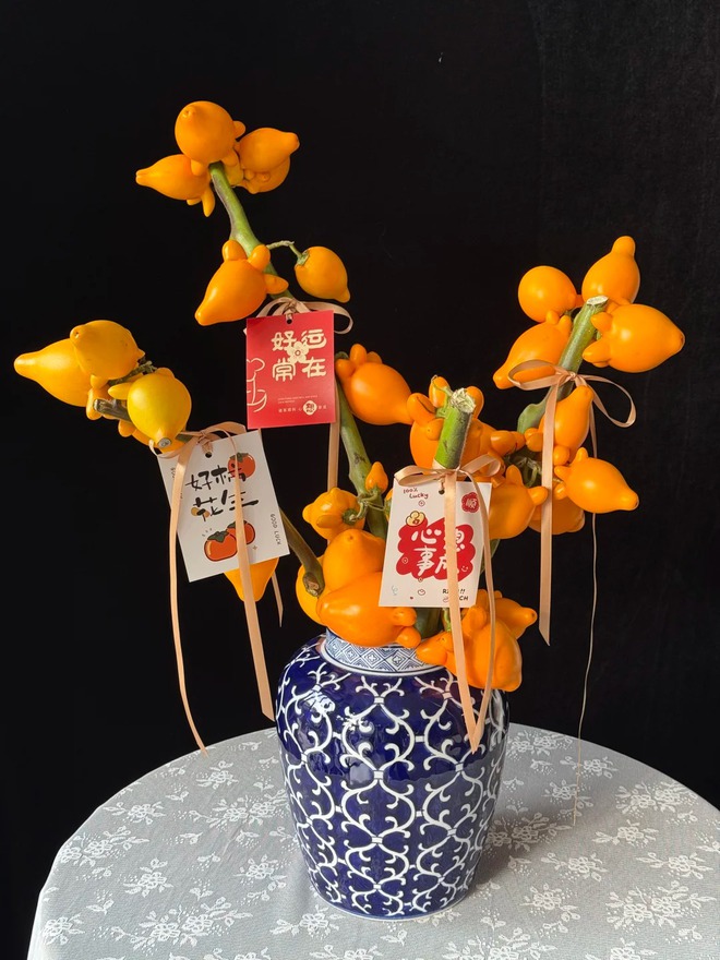 "Cây tài lộc" ít người biết: Quả vàng óng 5 múi, chưng Tết 2026 mang ý nghĩa "ngũ phúc lâm môn", tiền vào như nước- Ảnh 13. "Cây tài lộc" ít người biết: Quả vàng óng 5 múi, chưng Tết 2026 mang ý nghĩa "ngũ phúc lâm môn", tiền vào như nước- Ảnh 13.