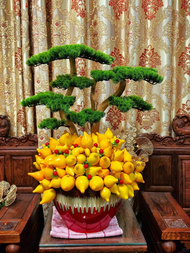 "Cây tài lộc" ít người biết: Quả vàng óng 5 múi, chưng Tết 2026 mang ý nghĩa "ngũ phúc lâm môn", tiền vào như nước- Ảnh 38. "Cây tài lộc" ít người biết: Quả vàng óng 5 múi, chưng Tết 2026 mang ý nghĩa "ngũ phúc lâm môn", tiền vào như nước- Ảnh 38.