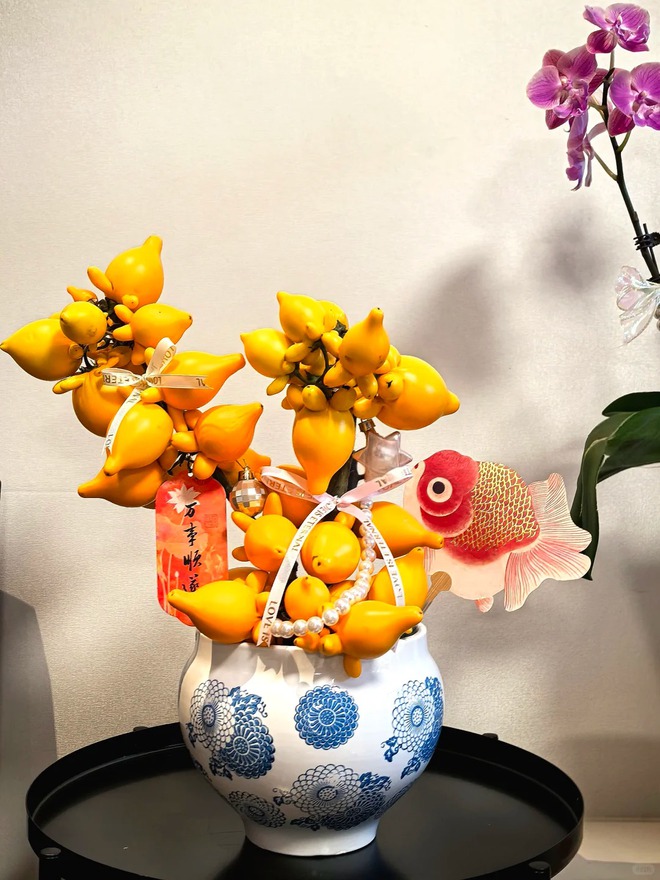 "Cây tài lộc" ít người biết: Quả vàng óng 5 múi, chưng Tết 2026 mang ý nghĩa "ngũ phúc lâm môn", tiền vào như nước- Ảnh 39. "Cây tài lộc" ít người biết: Quả vàng óng 5 múi, chưng Tết 2026 mang ý nghĩa "ngũ phúc lâm môn", tiền vào như nước- Ảnh 39.