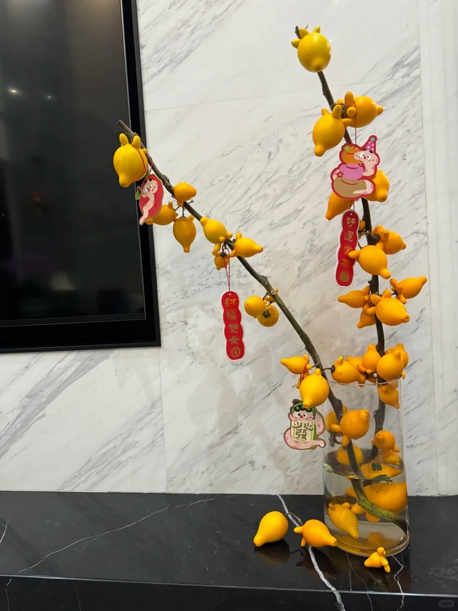 "Cây tài lộc" ít người biết: Quả vàng óng 5 múi, chưng Tết 2026 mang ý nghĩa "ngũ phúc lâm môn", tiền vào như nước- Ảnh 26. "Cây tài lộc" ít người biết: Quả vàng óng 5 múi, chưng Tết 2026 mang ý nghĩa "ngũ phúc lâm môn", tiền vào như nước- Ảnh 26.